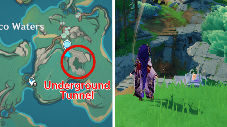 Tales of Dreams Plucked From Fire Location - Genshin Impact Walkthrough