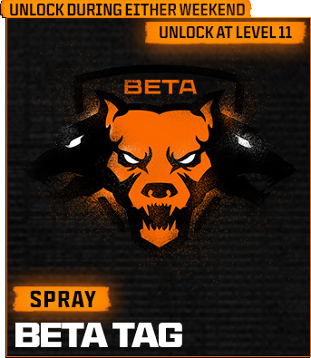 Beta Tag Spray Open Beta Reward