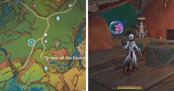 Treasures and Collectors location