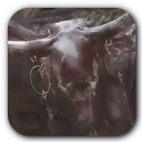 Black Myth Wukong -The Duskveil Icon