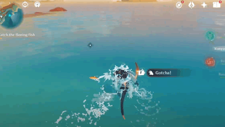 Catch the fleeing fish