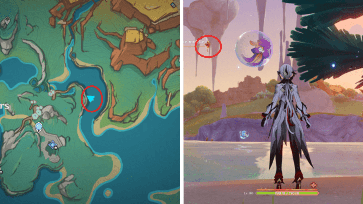 Genshin - Pyroculus 93