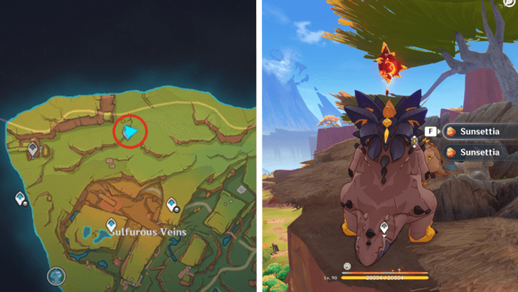 Genshin - Pyroculus 11