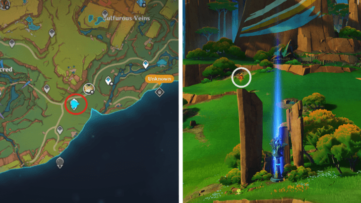 Genshin - Pyroculus 79