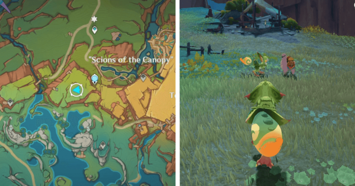 Special Friends location