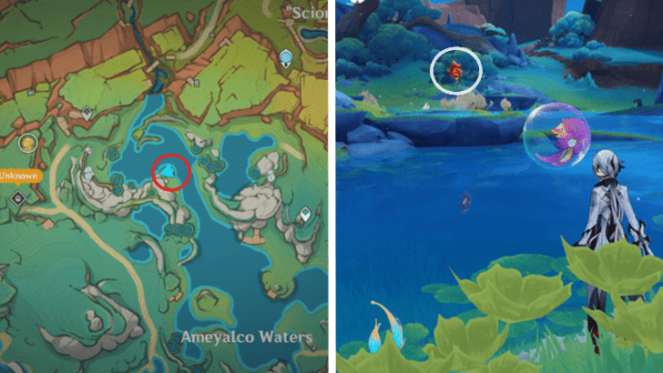 Genshin - Pyroculus 91