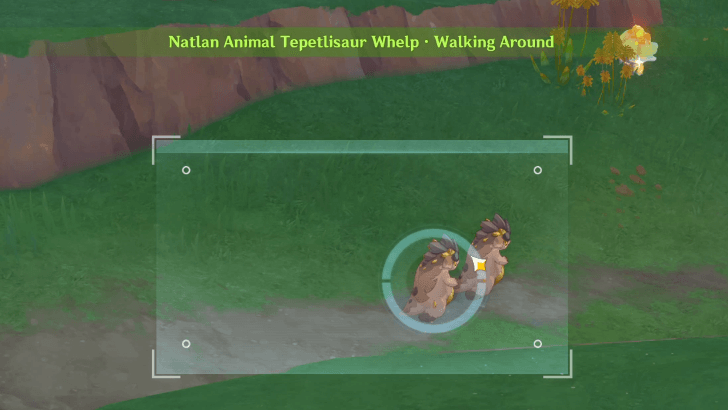 Tepetlisaur Whelp - Walking Around