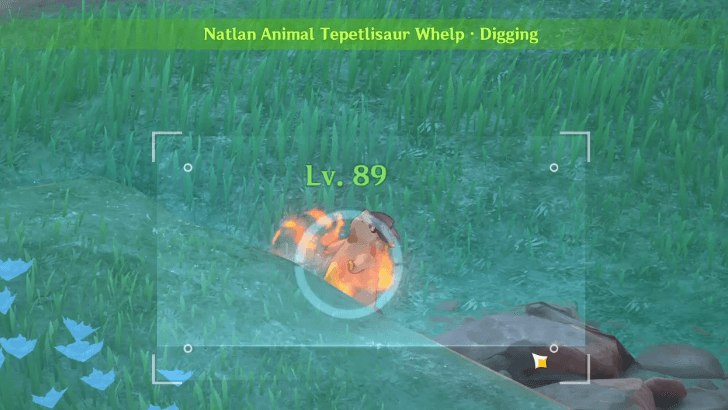 Tepetlisaur Whelp - Digging