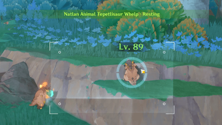 Tepetlisaur Whelp - Resting