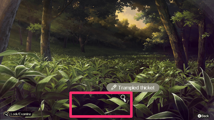 Emio Chapter 12 Trampled Thicket