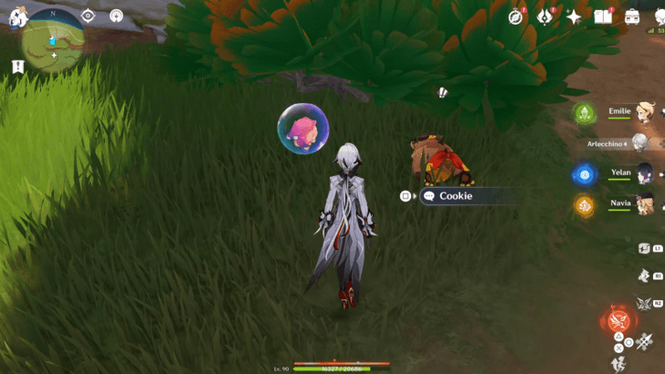 Go look for your missing Saurian companion