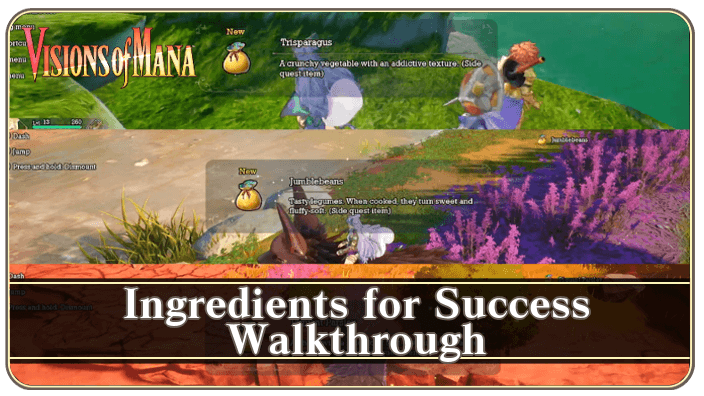 Ingredients for Success Banner