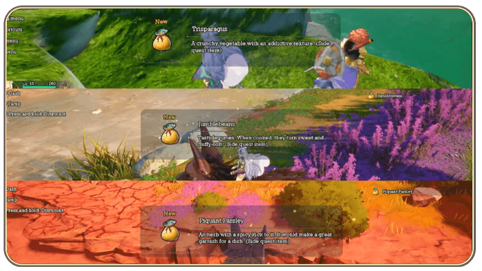 Ingredients for Success