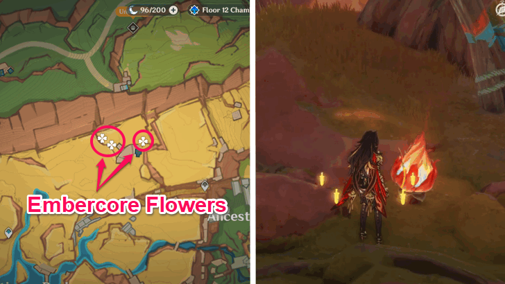 Embercore Flower Locations