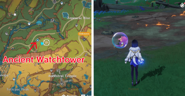 Genshin Impact Waiting For Seeds to Sprout Quest Guide