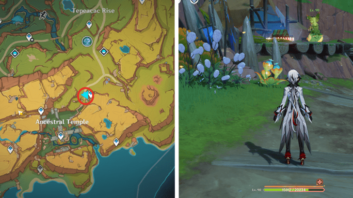 Genshin - Quenepa Berry 32