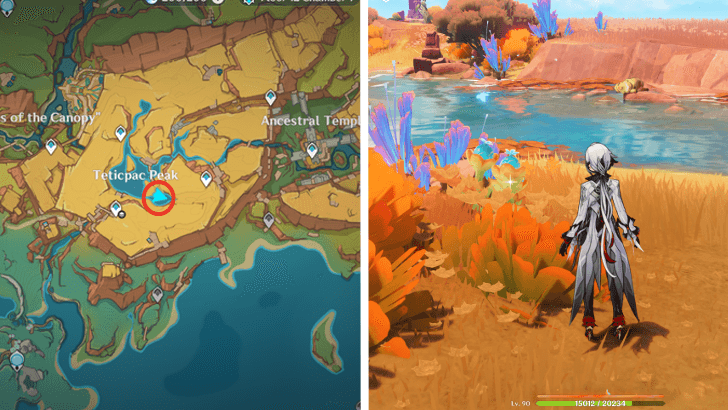 Genshin - Quenepa Berry 1