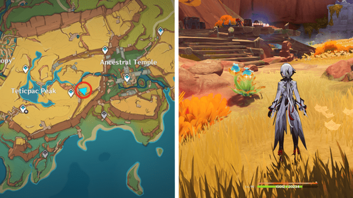 Genshin - Quenepa Berry 3