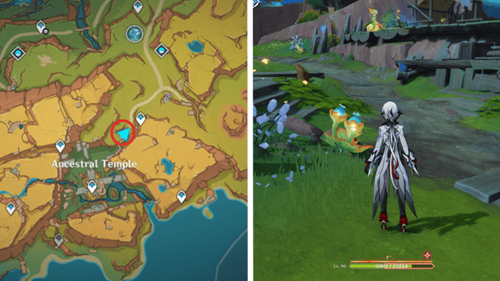 Genshin - Quenepa Berry 34