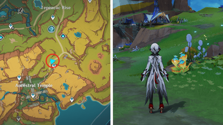 Genshin - Quenepa Berry 31