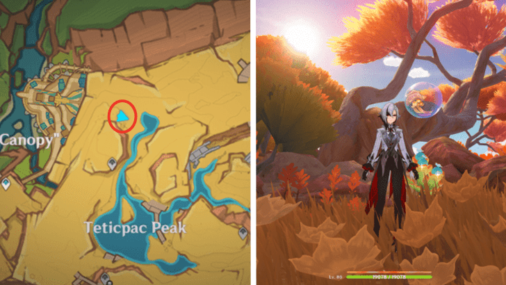 Genshin - Quenepa Berry 13