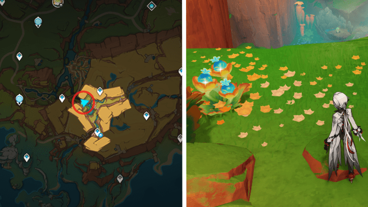 Genshin - Quenepa Berry 7