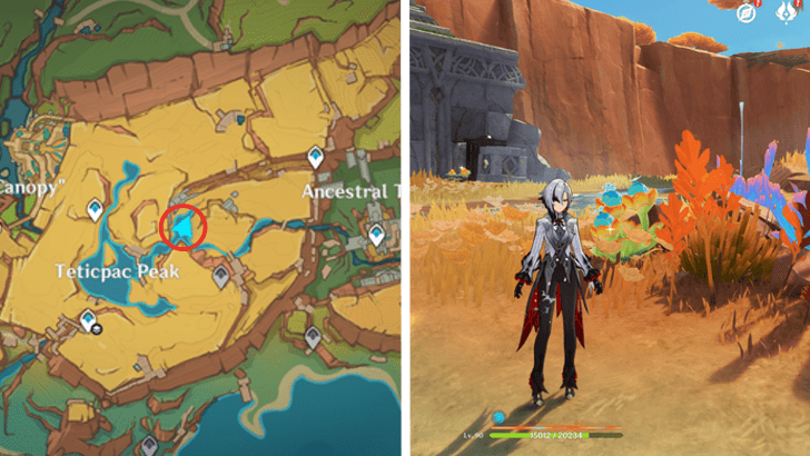 Genshin - Quenepa Berry 4