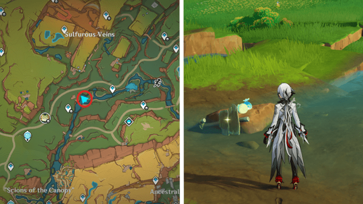 Genshin - Quenepa Berry 20