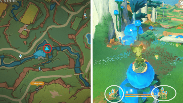 Genshin - Quenepa Berry 24 and 25