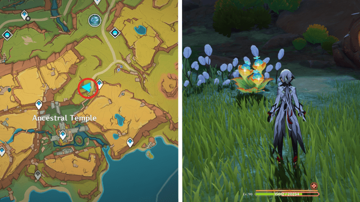 Genshin - Quenepa Berry 33