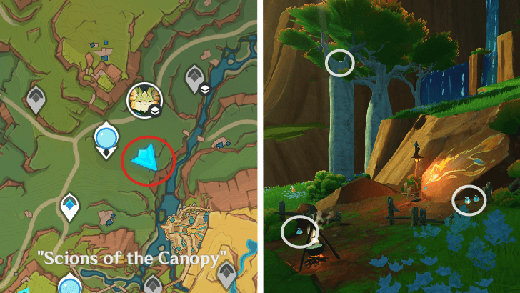 Genshin - Quenepa Berry 16-19