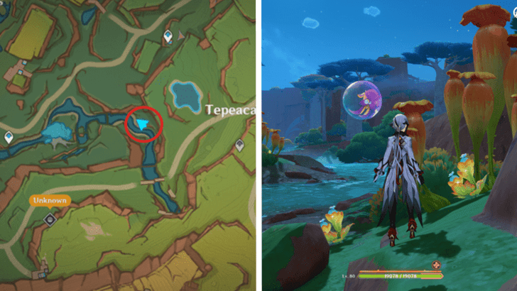 Genshin - Quenepa Berry 29 and 30