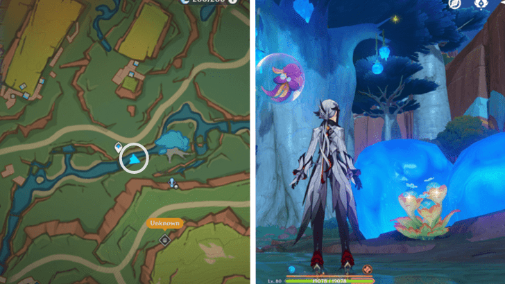 Genshin - Quenepa Berry 23