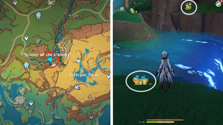 Genshin - Quenepa Berry 10, 11, and 12