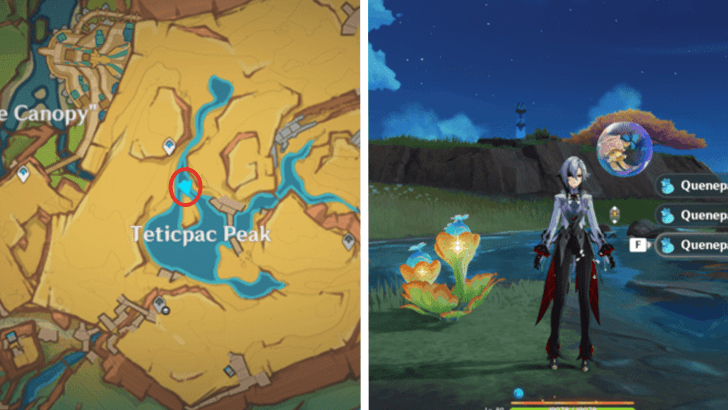 Genshin - Quenepa Berry 6