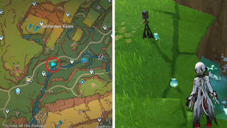 Genshin - Quenepa Berry 21 and 22