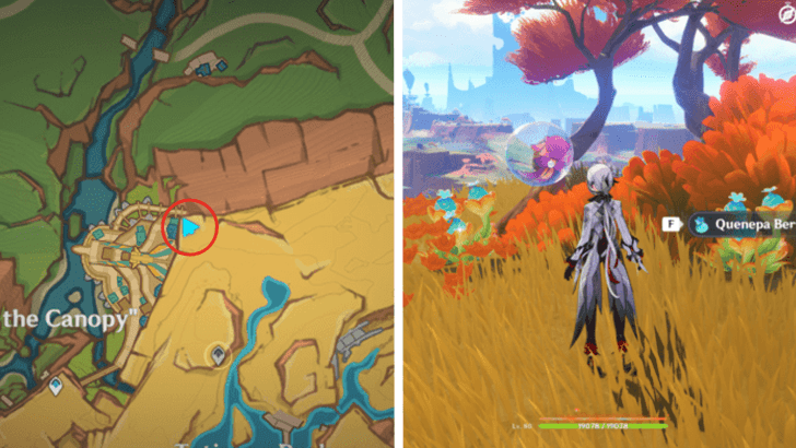 Genshin - Quenepa Berry 14 and 15