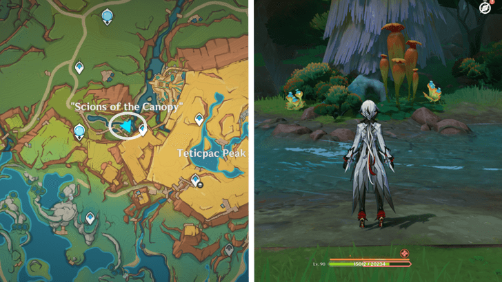 Genshin - Quenepa Berry 8 and 9