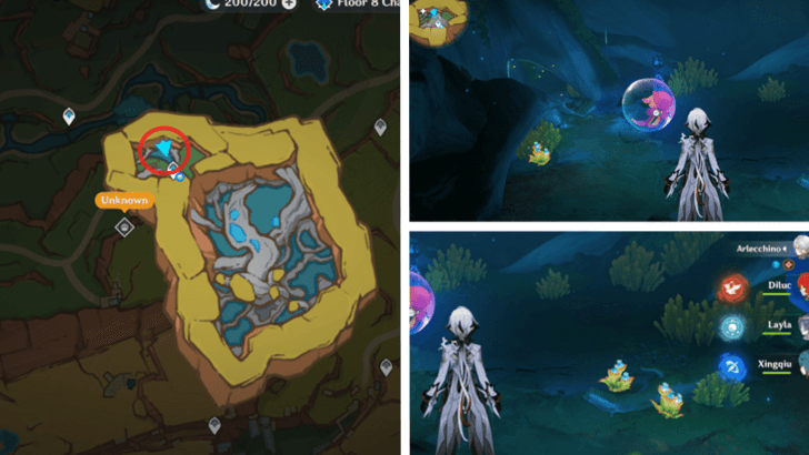 Genshin - Quenepa Berry 26, 27, and 28