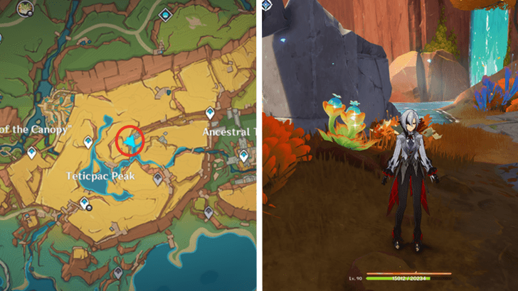 Genshin - Quenepa Berry 5