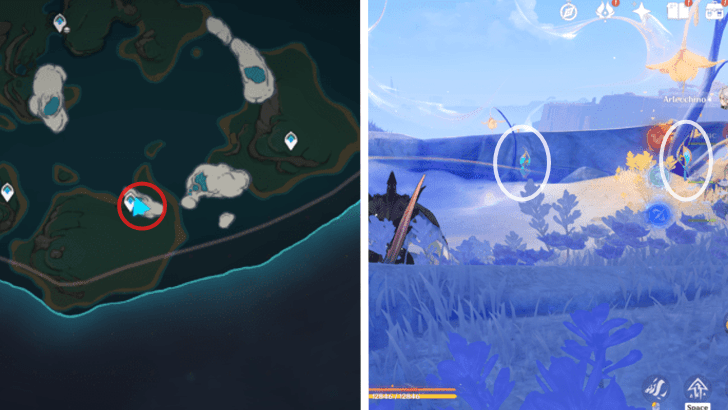 Genshin - Sprayfeather Gill 1-2