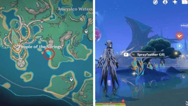 Genshin - Sprayfeather Gill 35-38