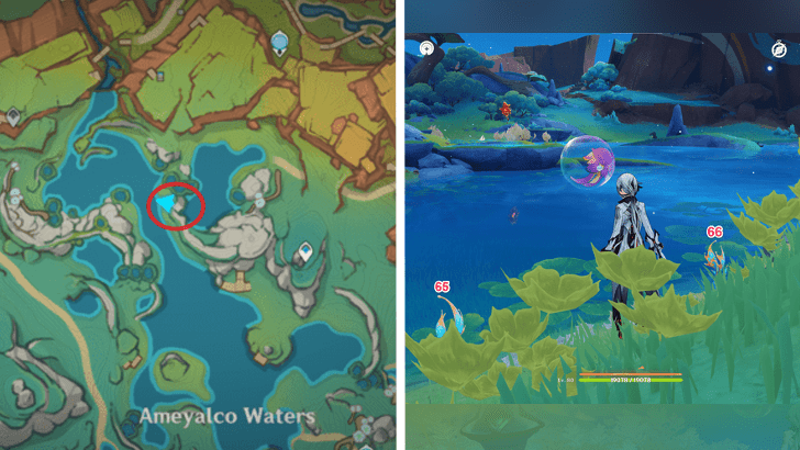 Genshin - Sprayfeather Gill 65-66