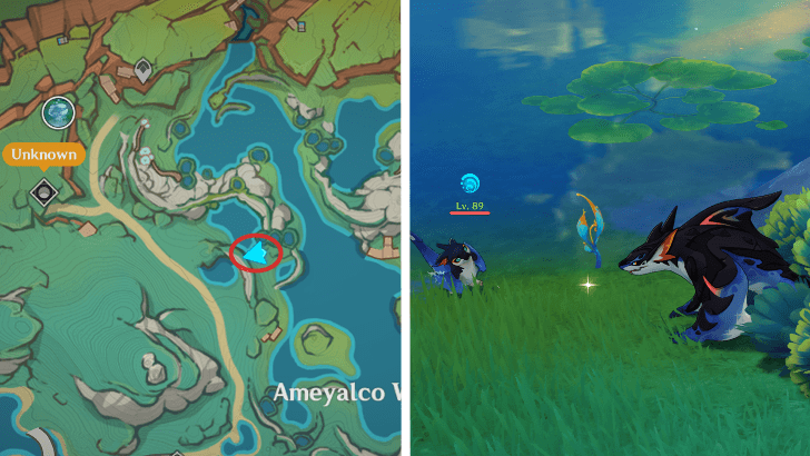 Genshin - Sprayfeather Gill 61