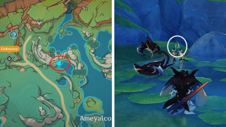 Genshin - Sprayfeather Gill 64