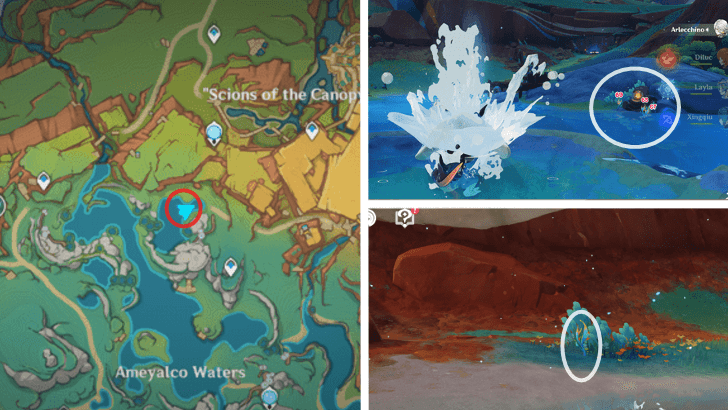 Genshin - Sprayfeather Gill 67-70