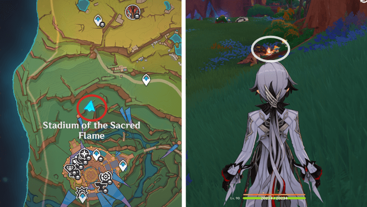 Genshin - Embercore Flower 11