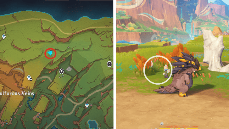 Genshin - Saurian Claw Succulent 22-23