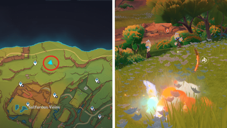 Genshin - Saurian Claw Succulent 68-69