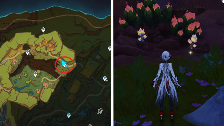 Genshin - Saurian Claw Succulent 73-74